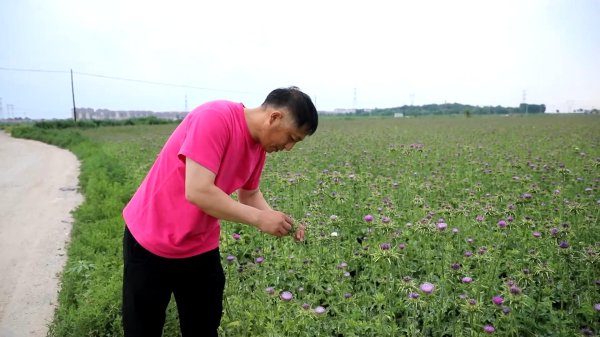 贵盈配资 新华视点｜逐梦沃野 共探富民密码