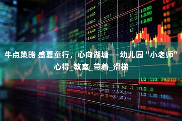 牛点策略 盛夏童行，心向湖塘——幼儿园“小老师”心得_教室_带着_滑梯