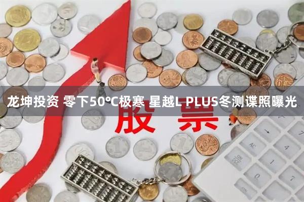 龙坤投资 零下50℃极寒 星越L PLUS冬测谍照曝光