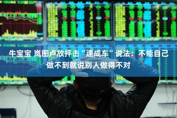 牛宝宝 岚图卢放抨击“速成车”说法:不能自己做不到就说别人做得不对